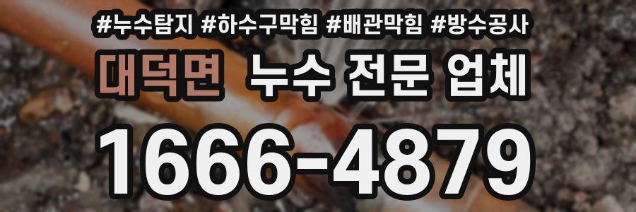 대덕면 누수 전문 업체