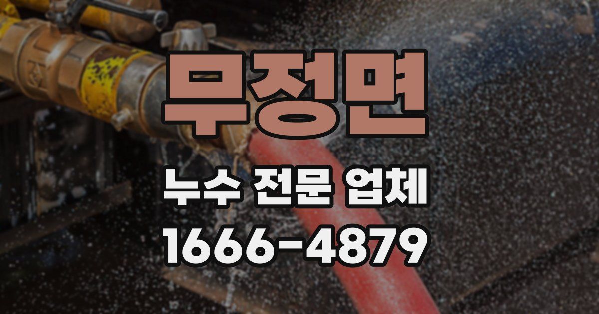 무정면 누수 전문 업체