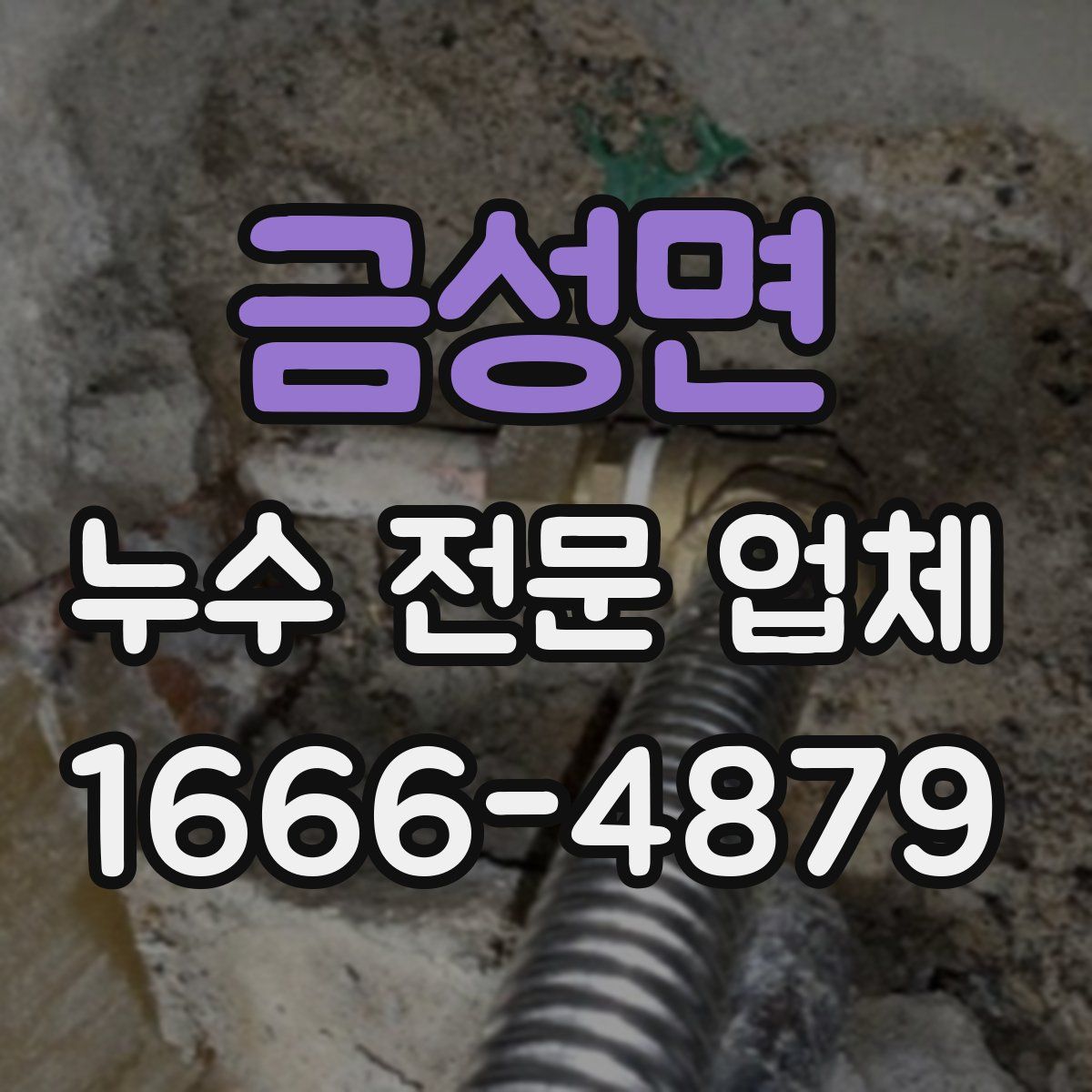 금성면 누수 전문 업체