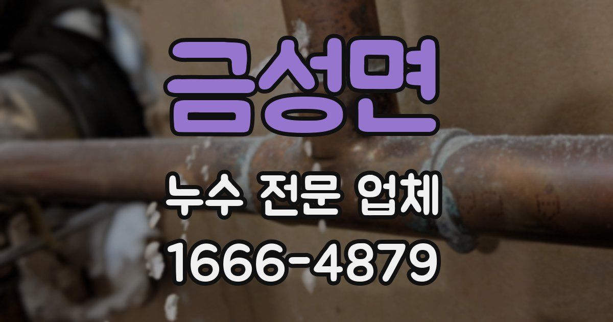 금성면 누수 전문 업체