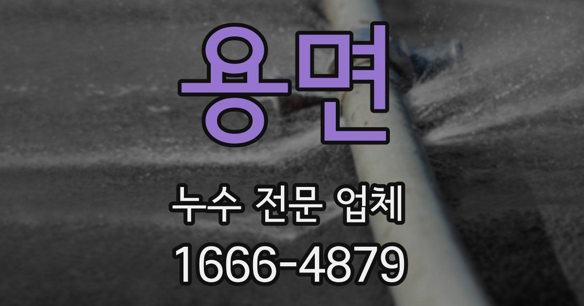 용면 누수 전문 업체
