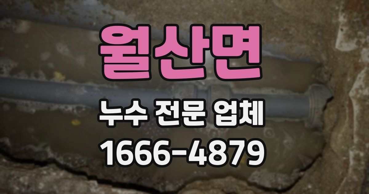 월산면 누수 전문 업체