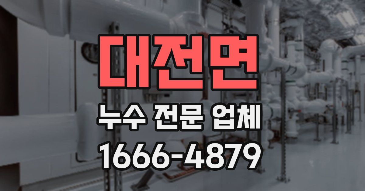 대전면 누수 전문 업체
