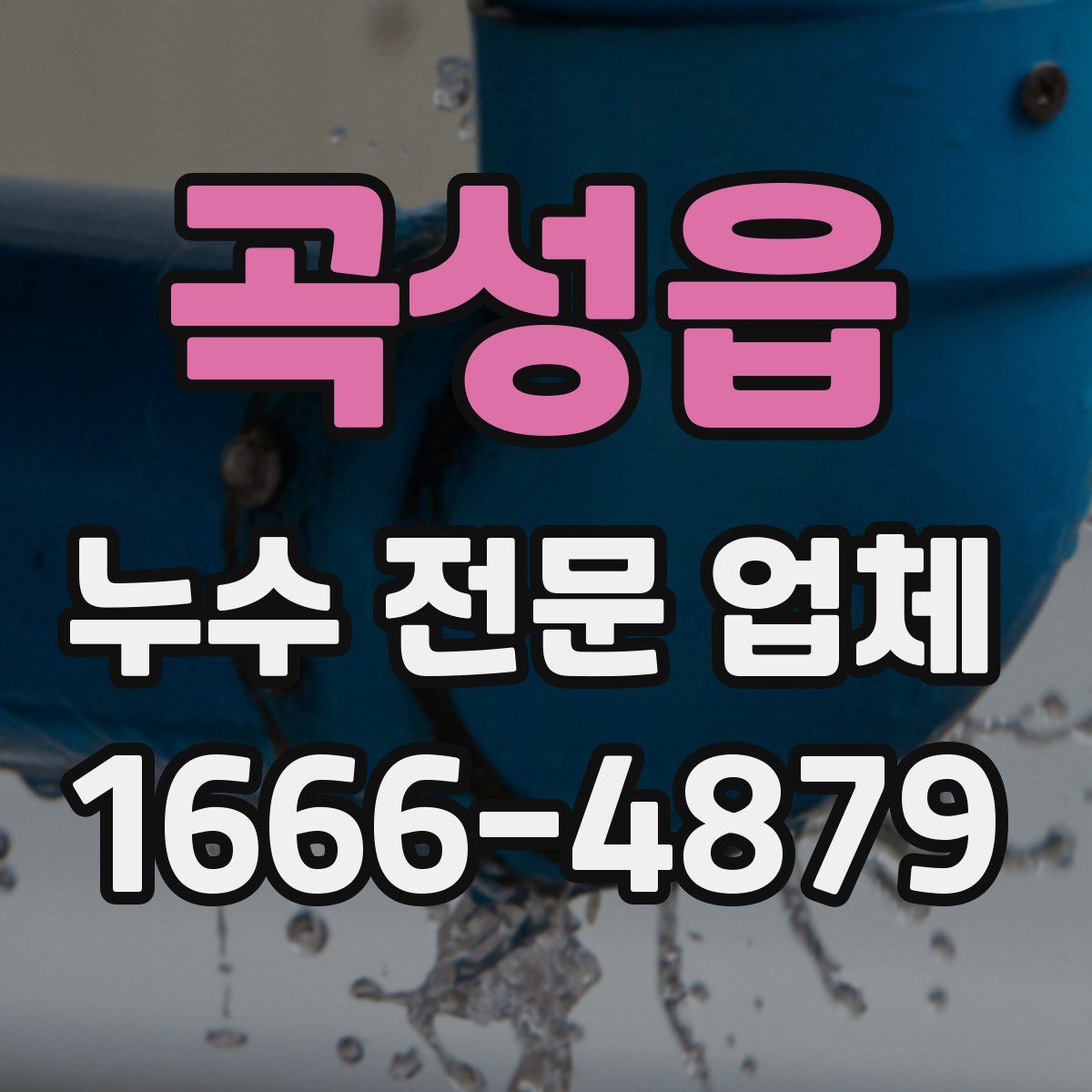 곡성읍 누수 전문 업체