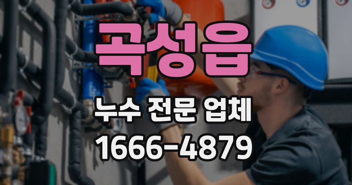 곡성읍 누수 전문 업체