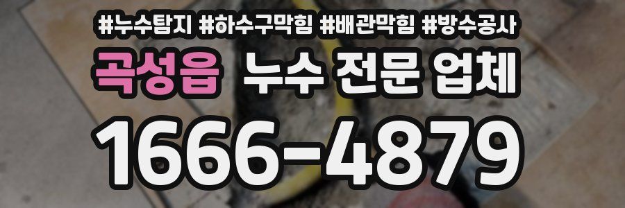곡성읍 누수 전문 업체