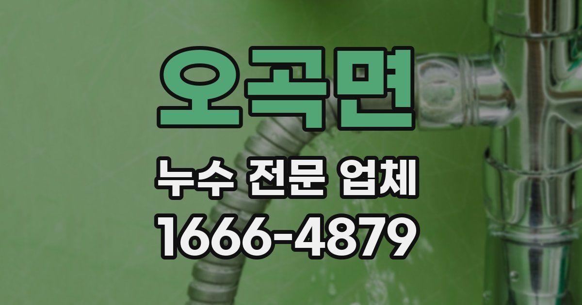 오곡면 누수 전문 업체