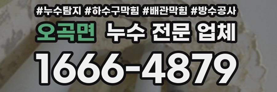 오곡면 누수 전문 업체