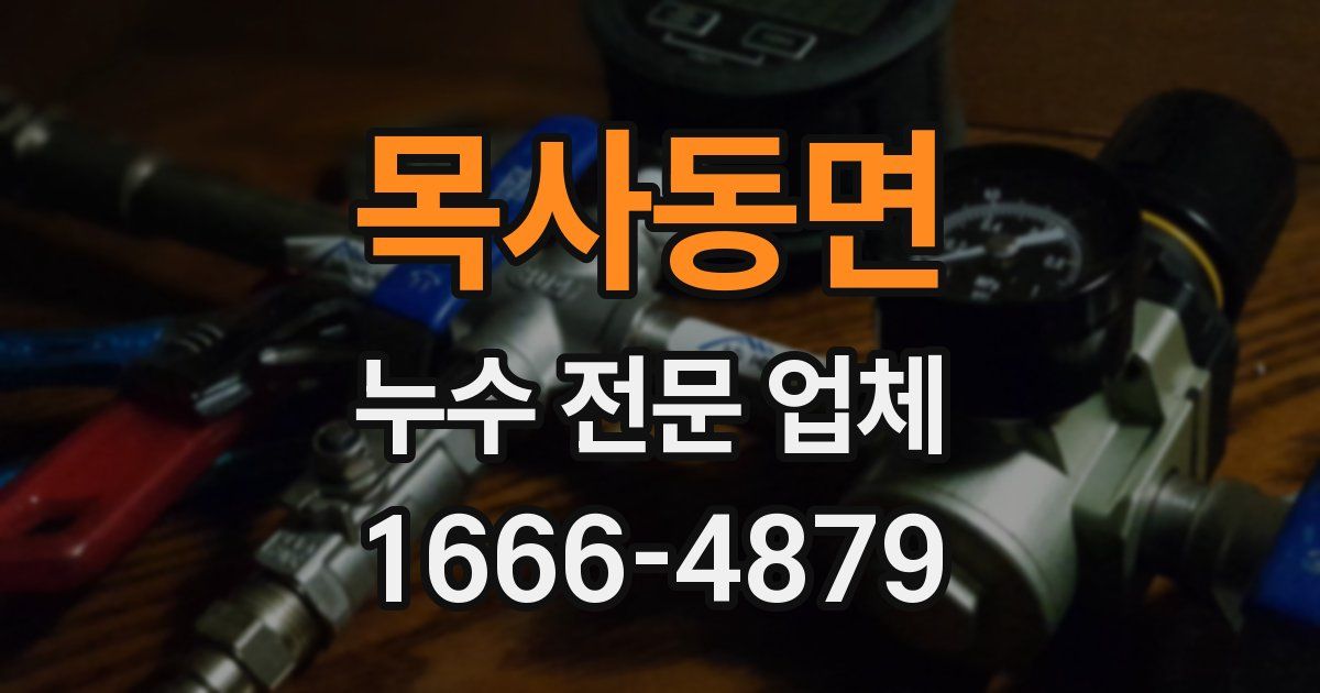목사동면 누수 전문 업체