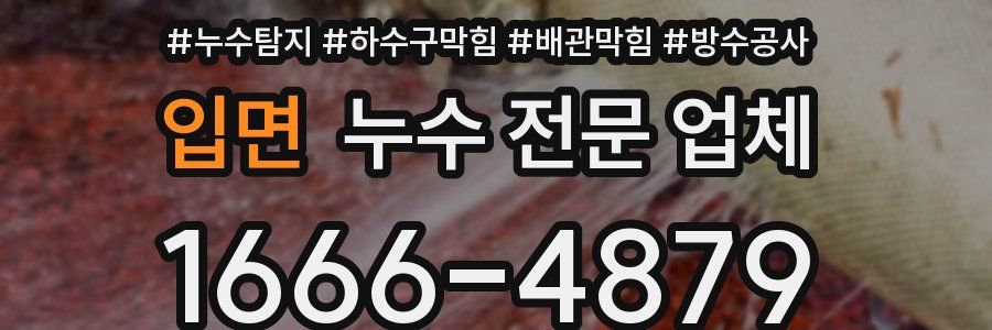 입면 누수 전문 업체