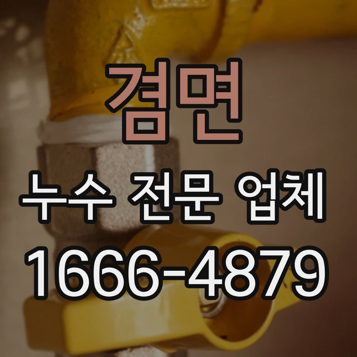 겸면 누수 전문 업체