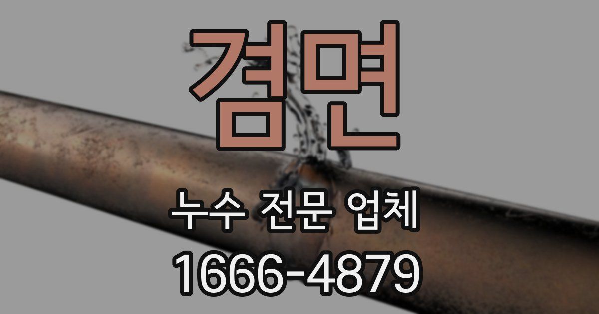 겸면 누수 전문 업체