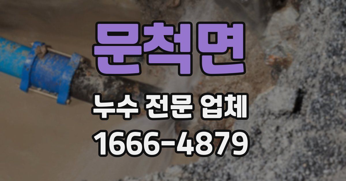 문척면 누수 전문 업체