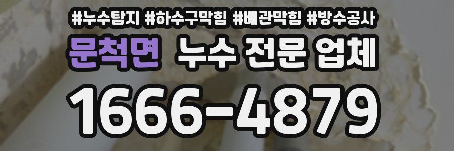 문척면 누수 전문 업체