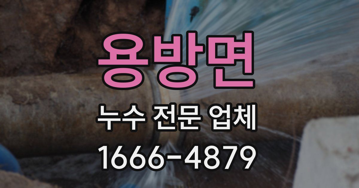 용방면 누수 전문 업체