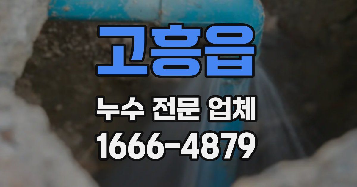 고흥읍 누수 전문 업체