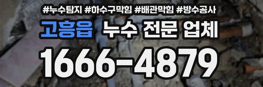 고흥읍 누수 전문 업체