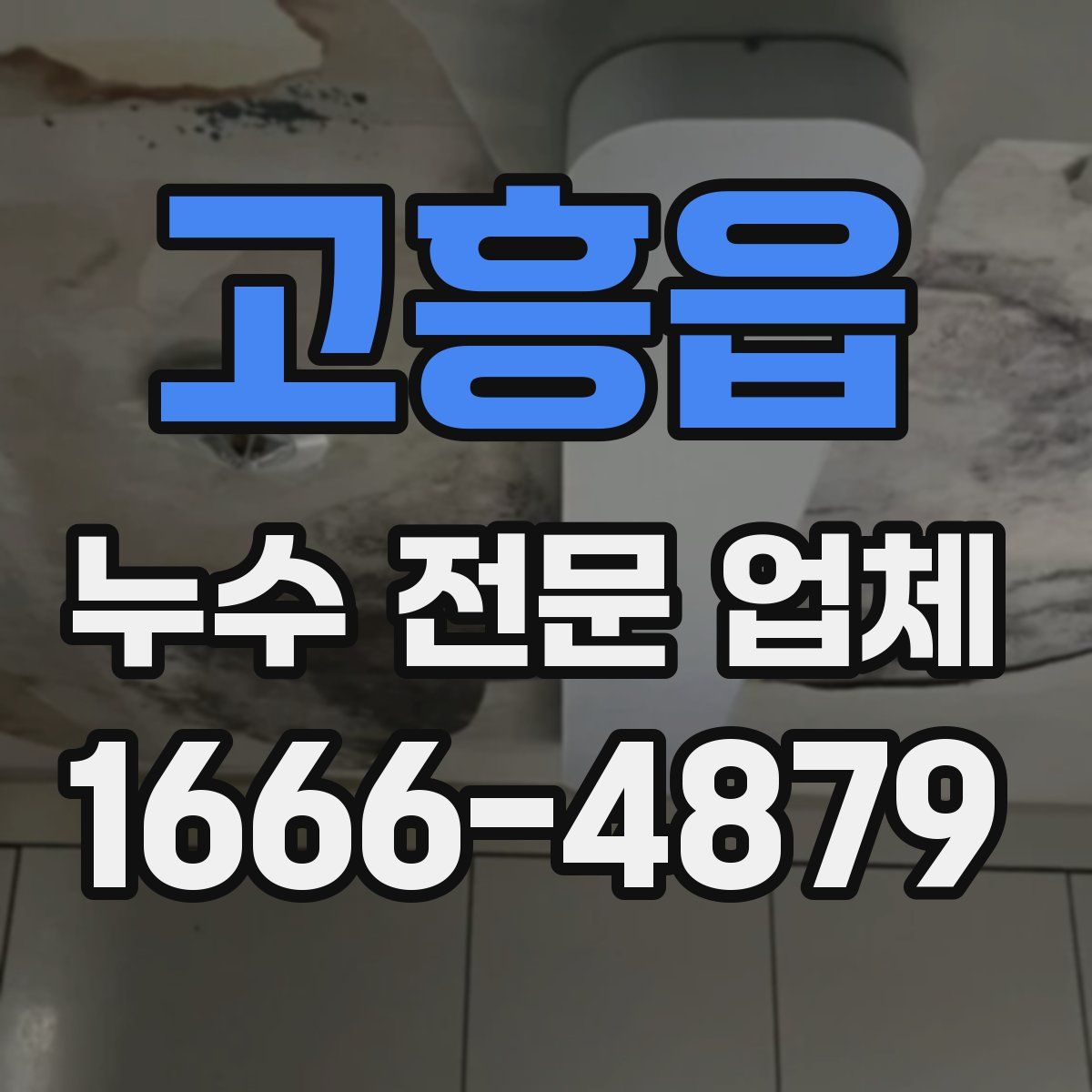 고흥읍 누수 전문 업체