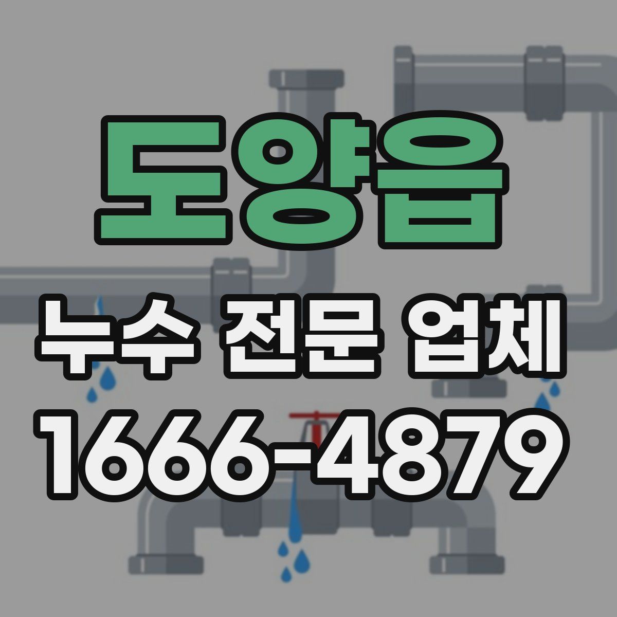 도양읍 누수 전문 업체