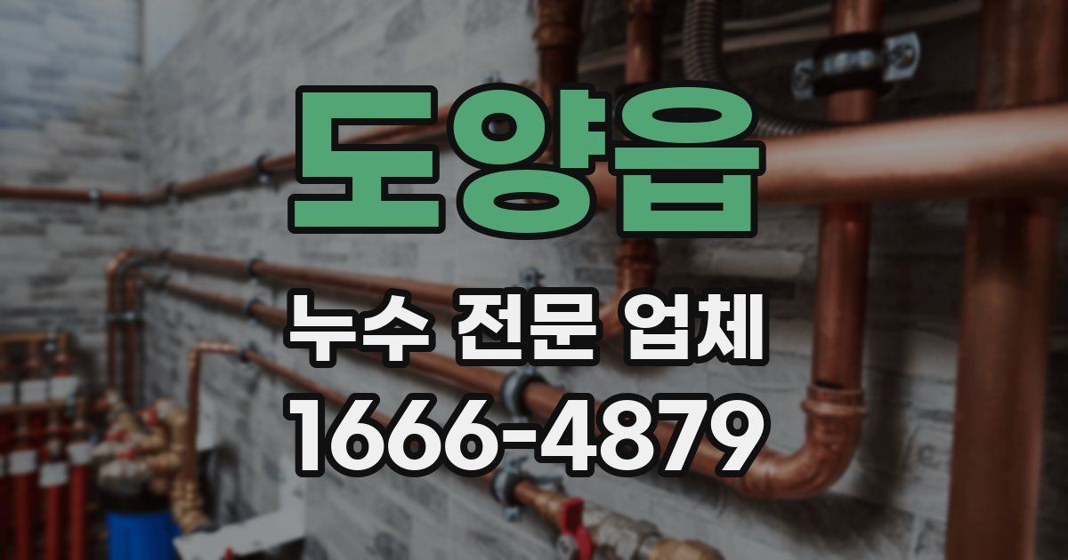 도양읍 누수 전문 업체