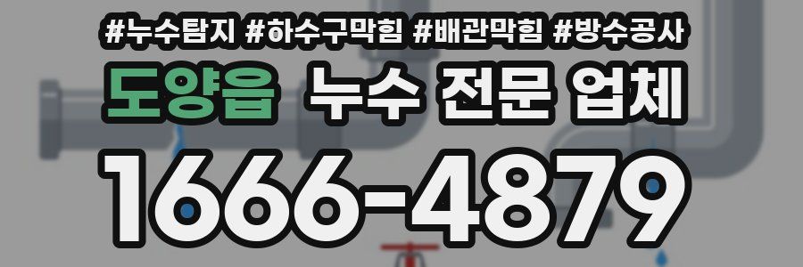 도양읍 누수 전문 업체