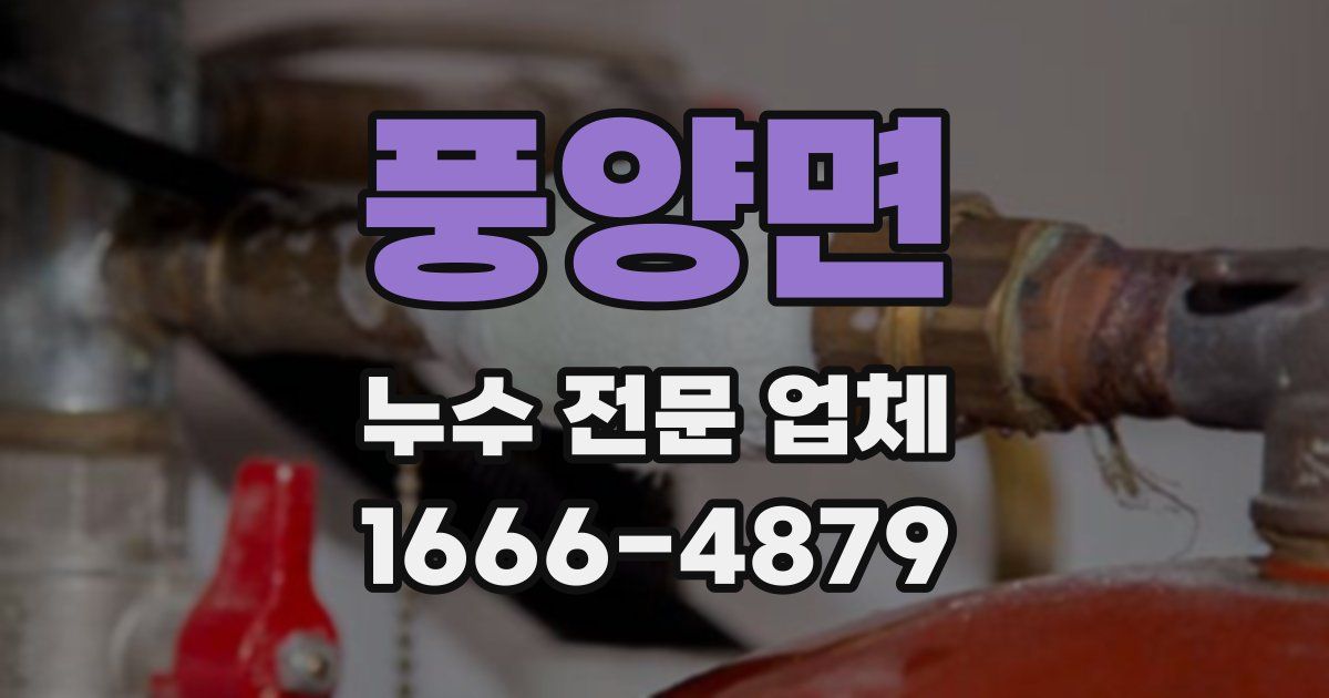 풍양면 누수 전문 업체