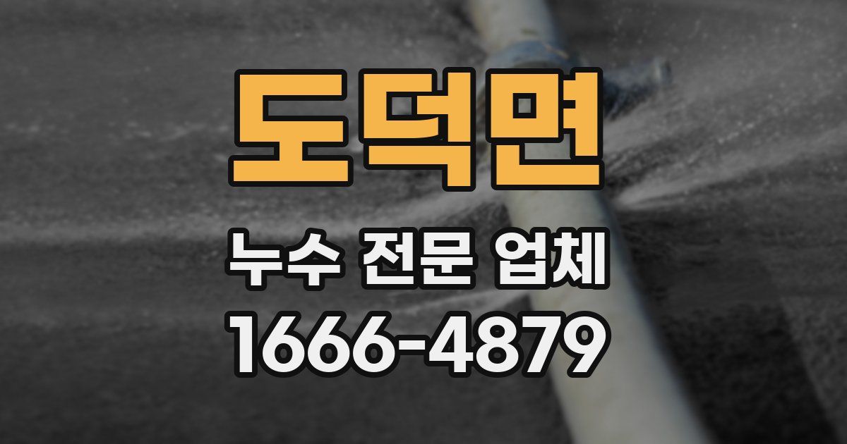 도덕면 누수 전문 업체