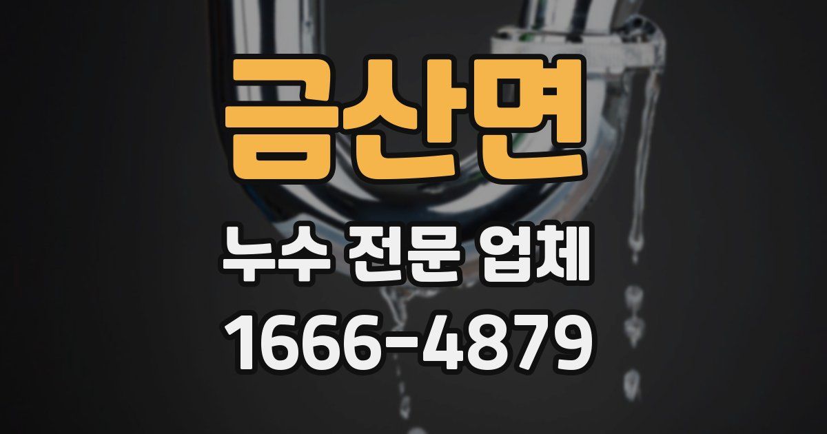 금산면 누수 전문 업체