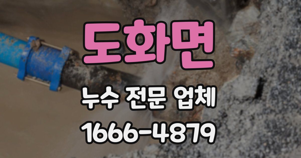 도화면 누수 전문 업체