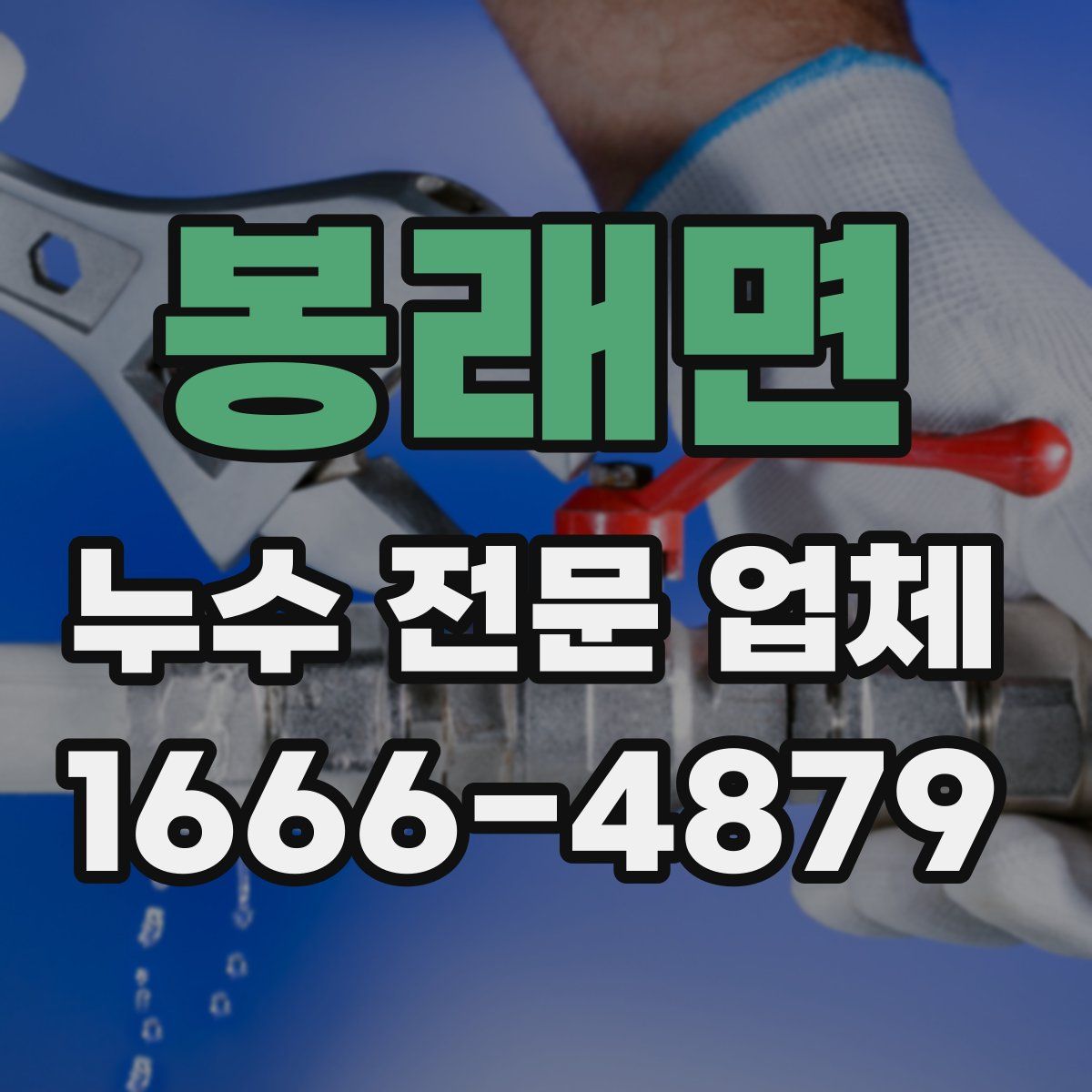 봉래면 누수 전문 업체