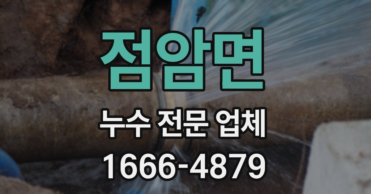 점암면 누수 전문 업체