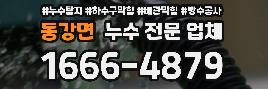 동강면 누수 전문 업체