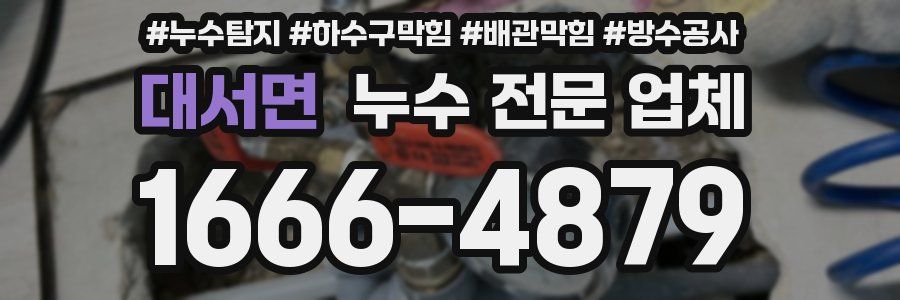 대서면 누수 전문 업체