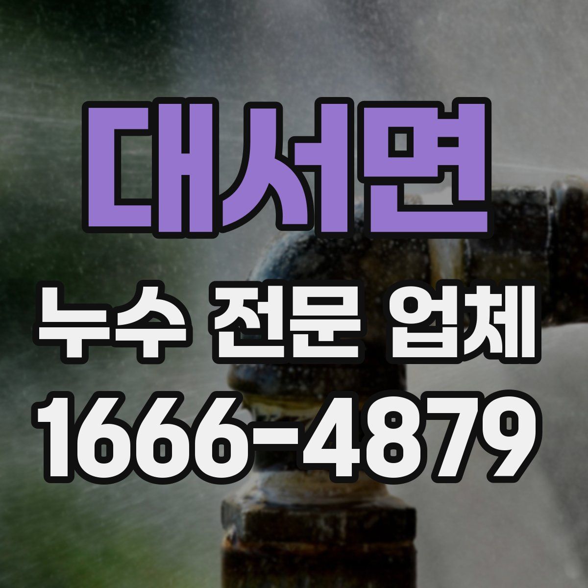 대서면 누수 전문 업체