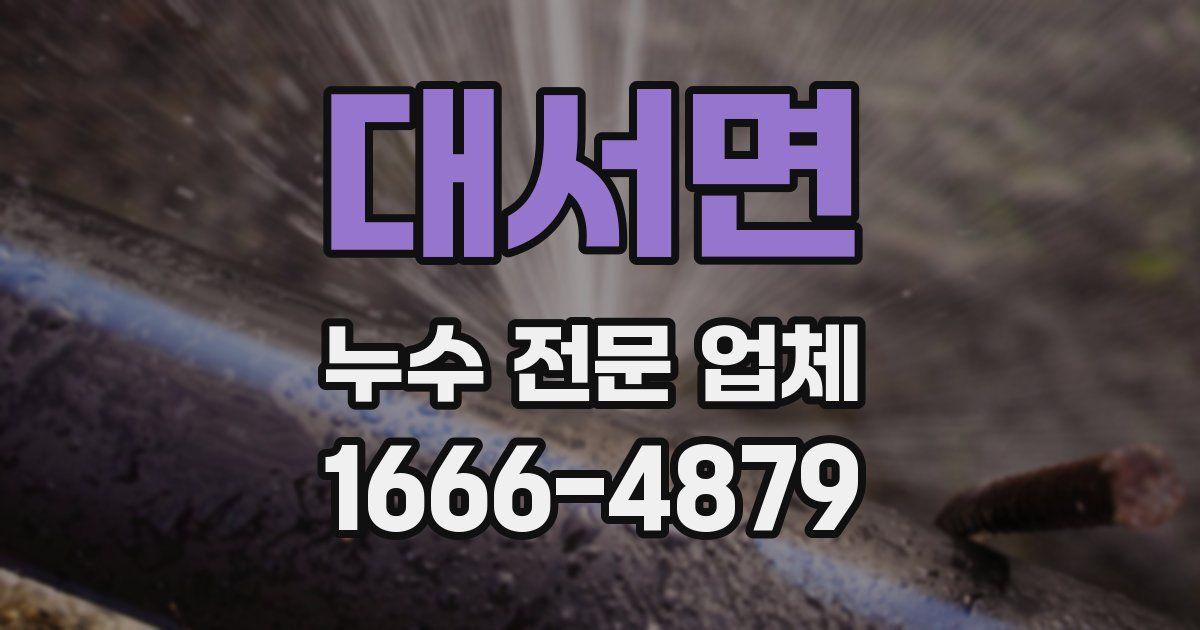 대서면 누수 전문 업체