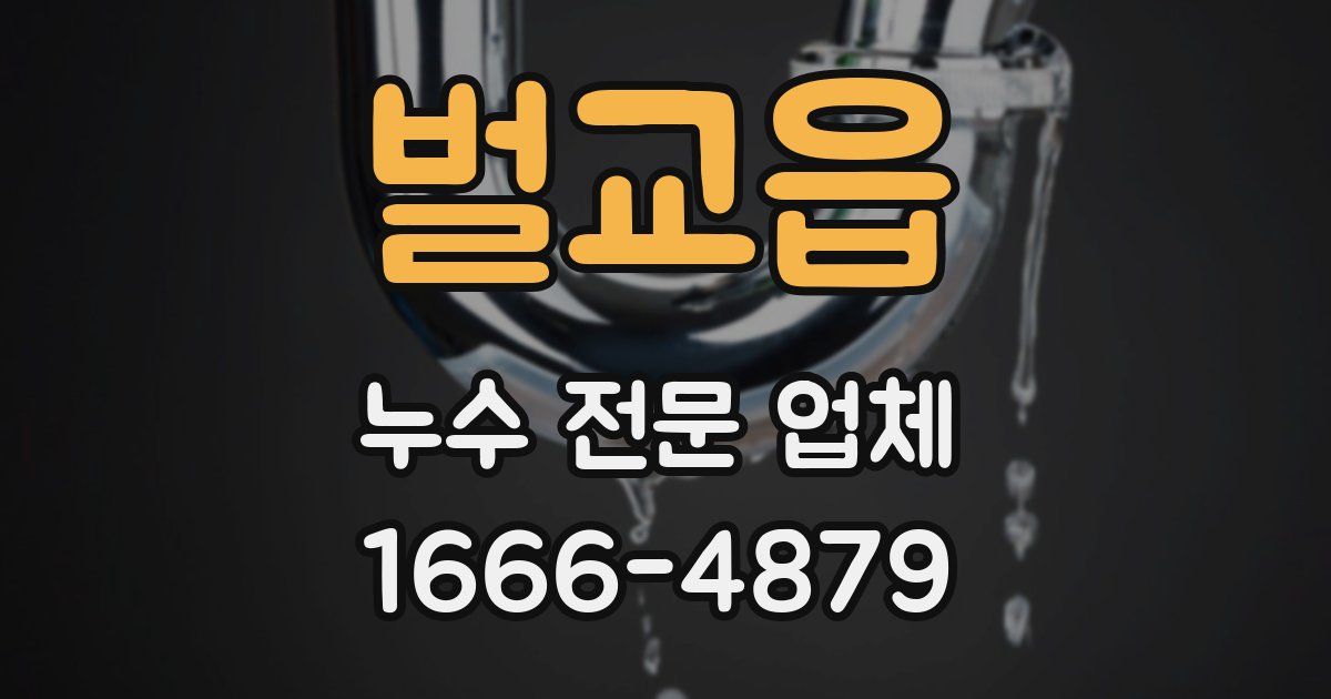 벌교읍 누수 전문 업체
