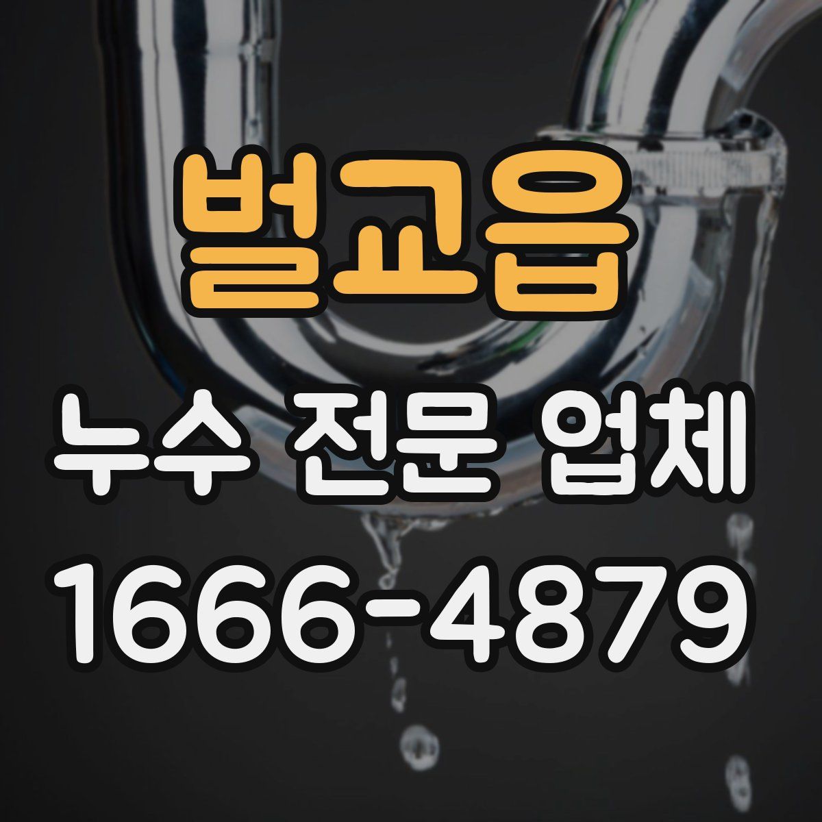 벌교읍 누수 전문 업체