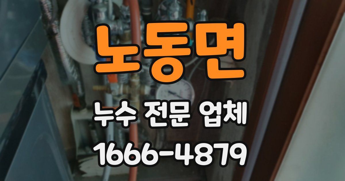 노동면 누수 전문 업체
