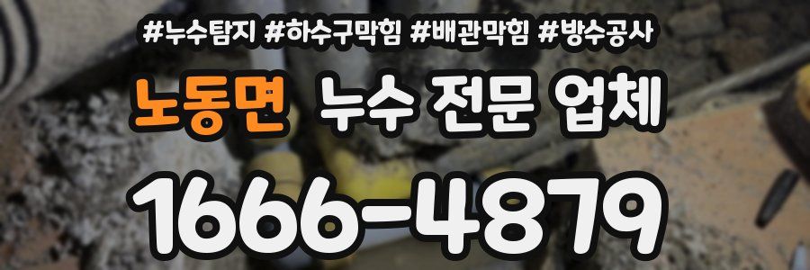 노동면 누수 전문 업체