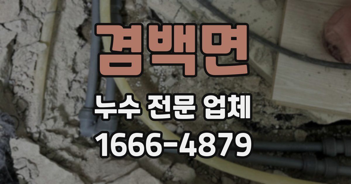 겸백면 누수 전문 업체