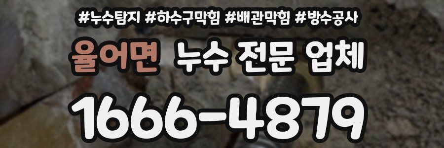 율어면 누수 전문 업체