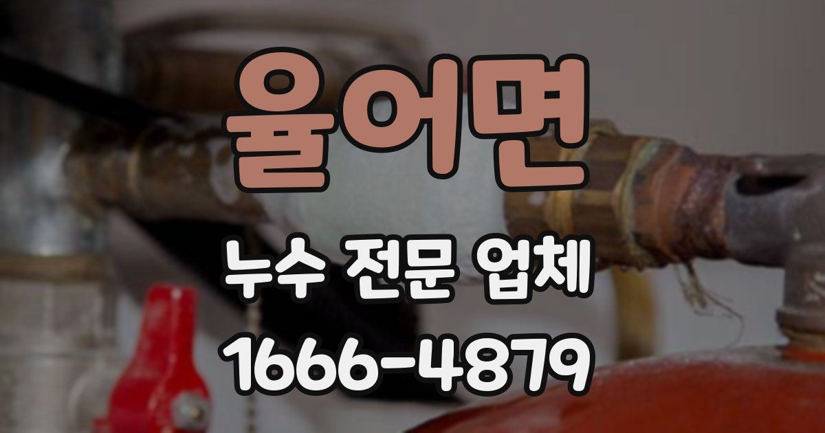 율어면 누수 전문 업체