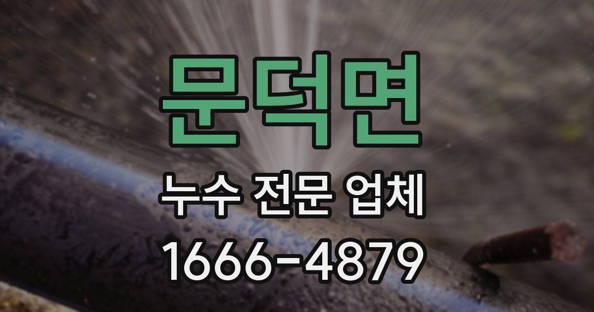 문덕면 누수 전문 업체