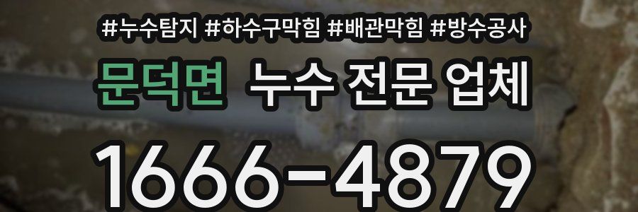 문덕면 누수 전문 업체