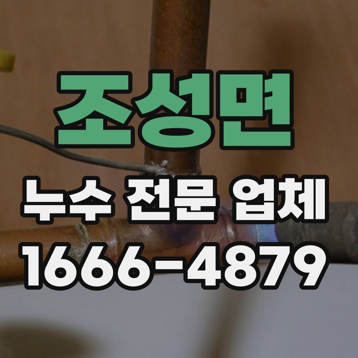 조성면 누수 전문 업체