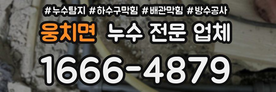 웅치면 누수 전문 업체