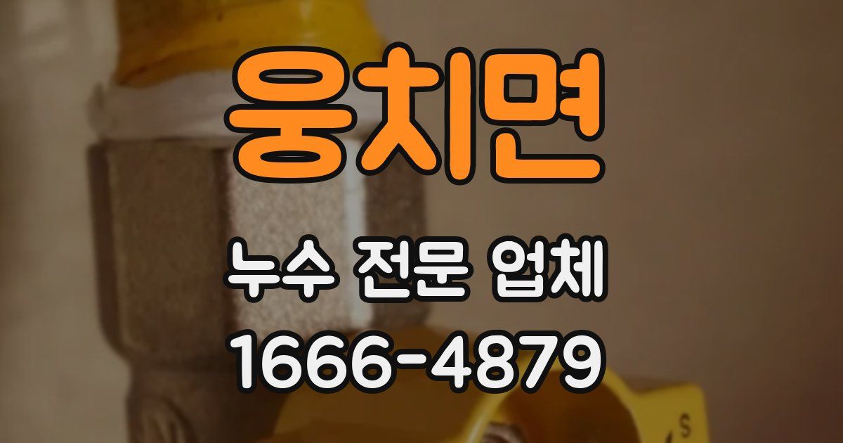 웅치면 누수 전문 업체