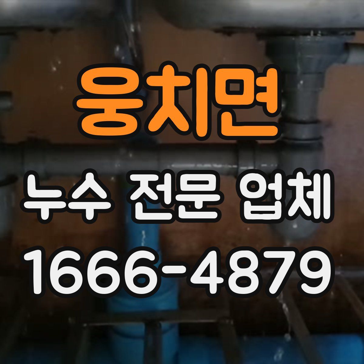 웅치면 누수 전문 업체