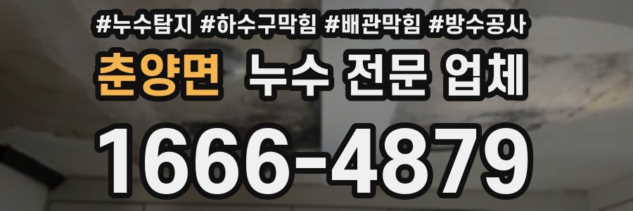 춘양면 누수 전문 업체