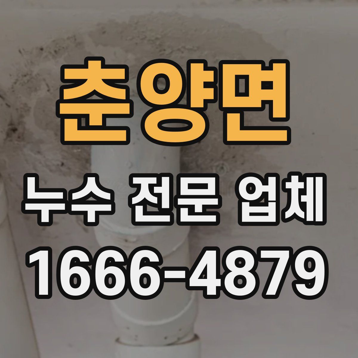 춘양면 누수 전문 업체